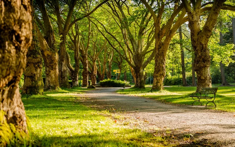 Ankara Polatlı Millet Bahçesi ve Şehir Parkı