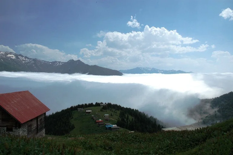 Fırtına Vadisi Taş Kemer Köprüleri