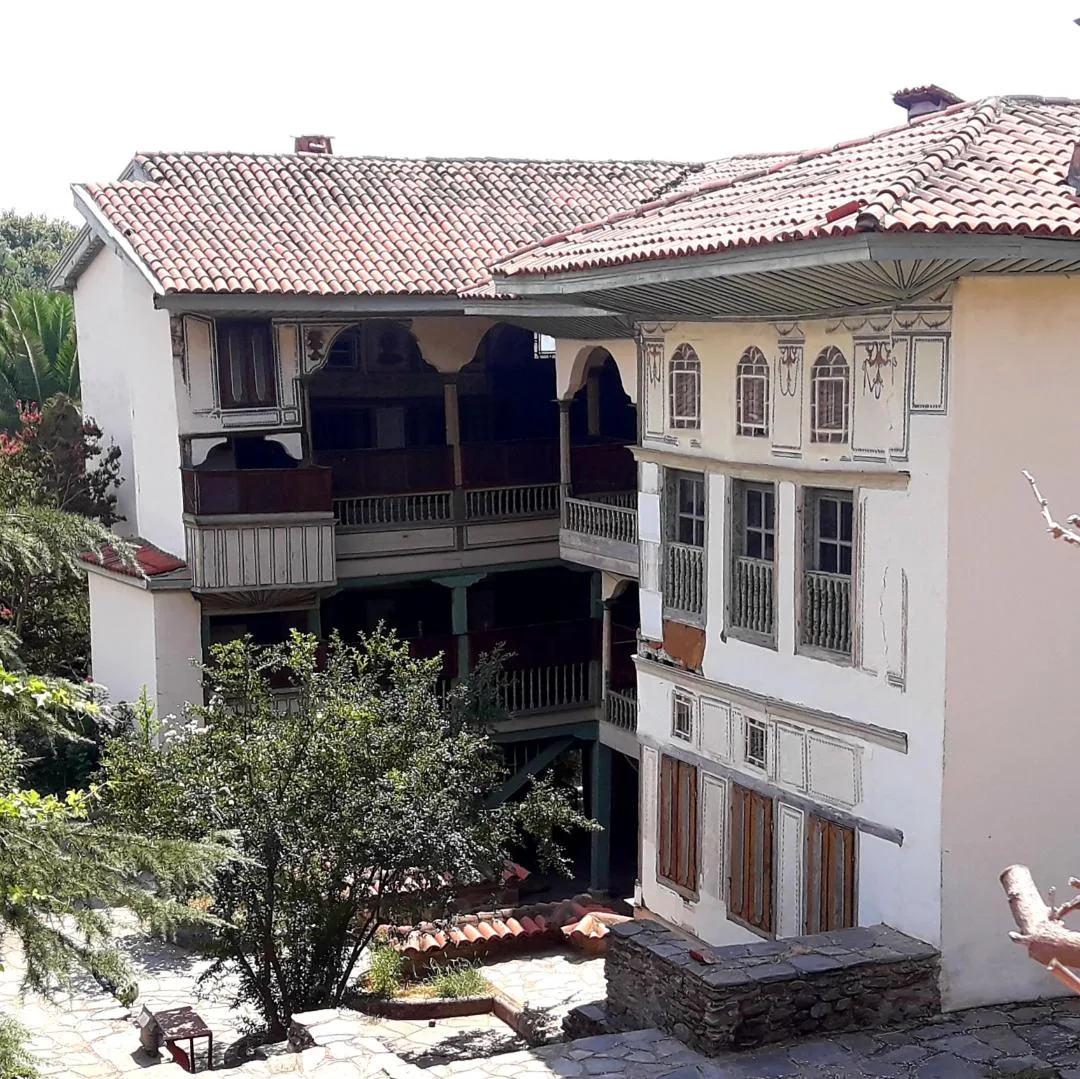 Birgi Tarihi Kenti (UNESCO Geçici)