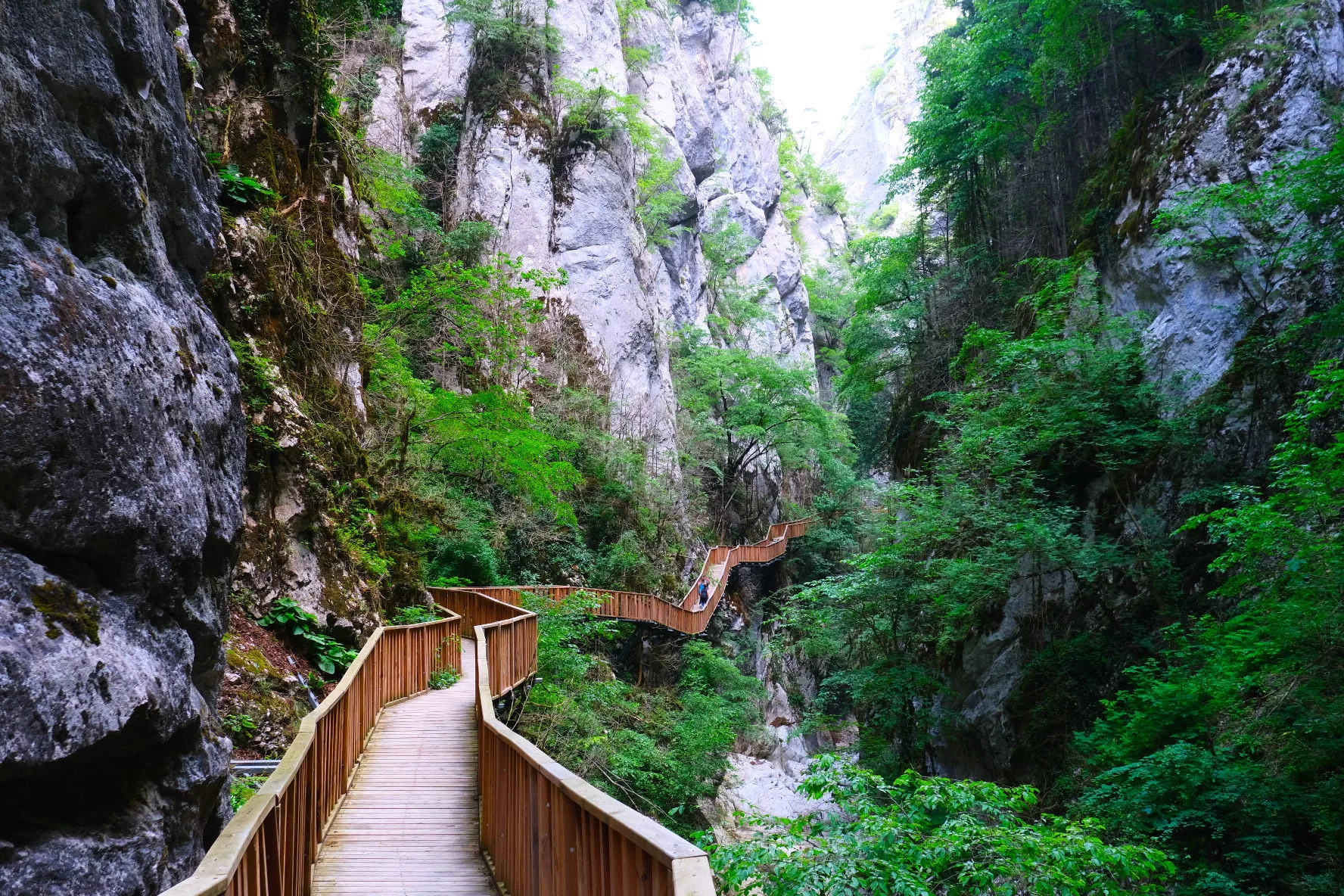 Horma Kanyonu