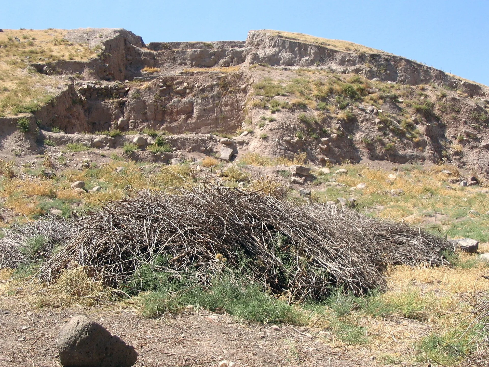 Oylum Hoyuk