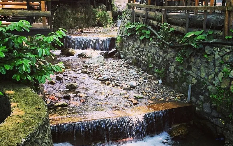 Maşukiye