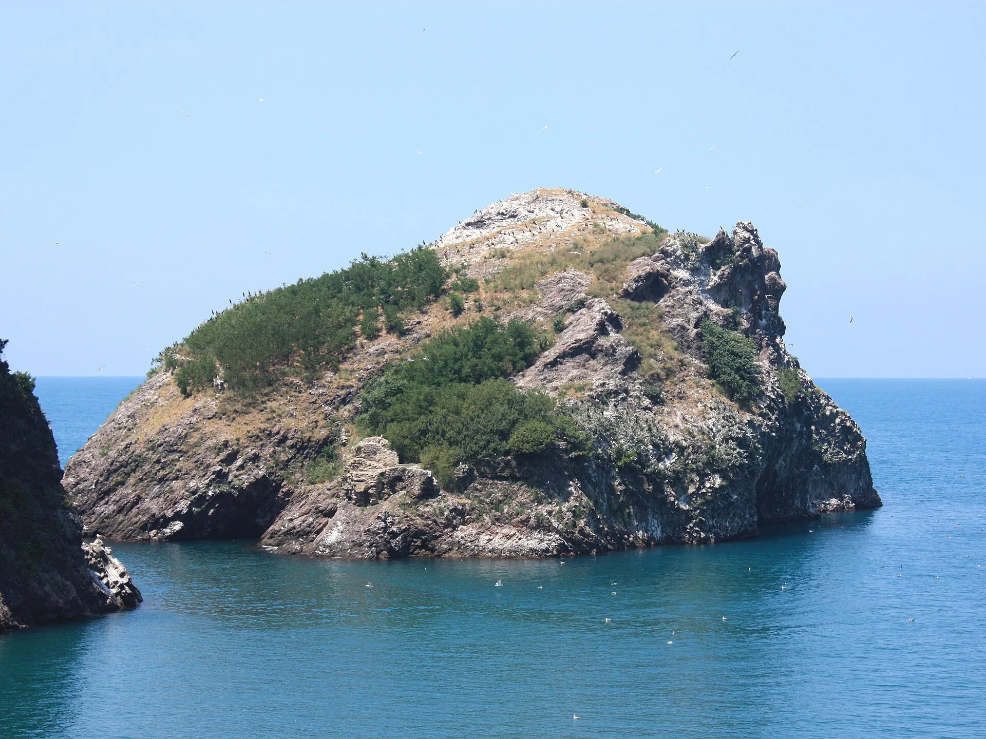 Hoynat Adasi