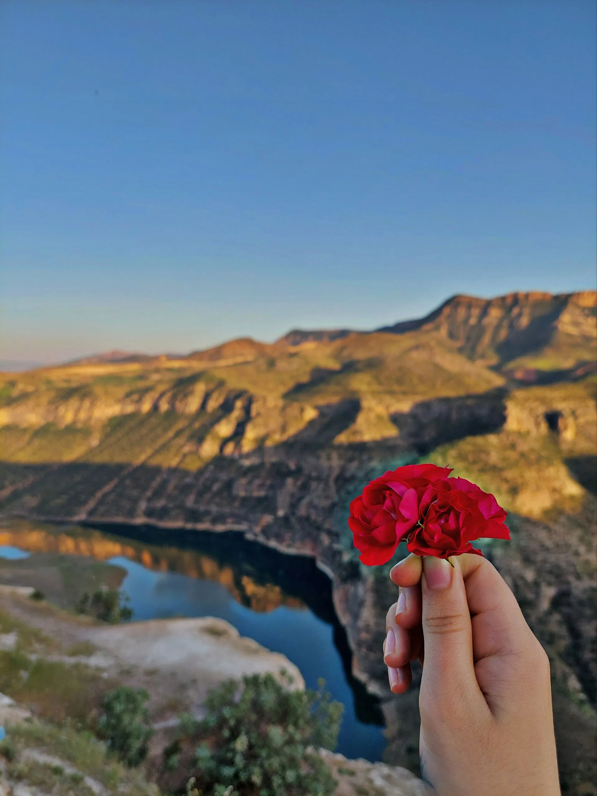 Delikli Tas