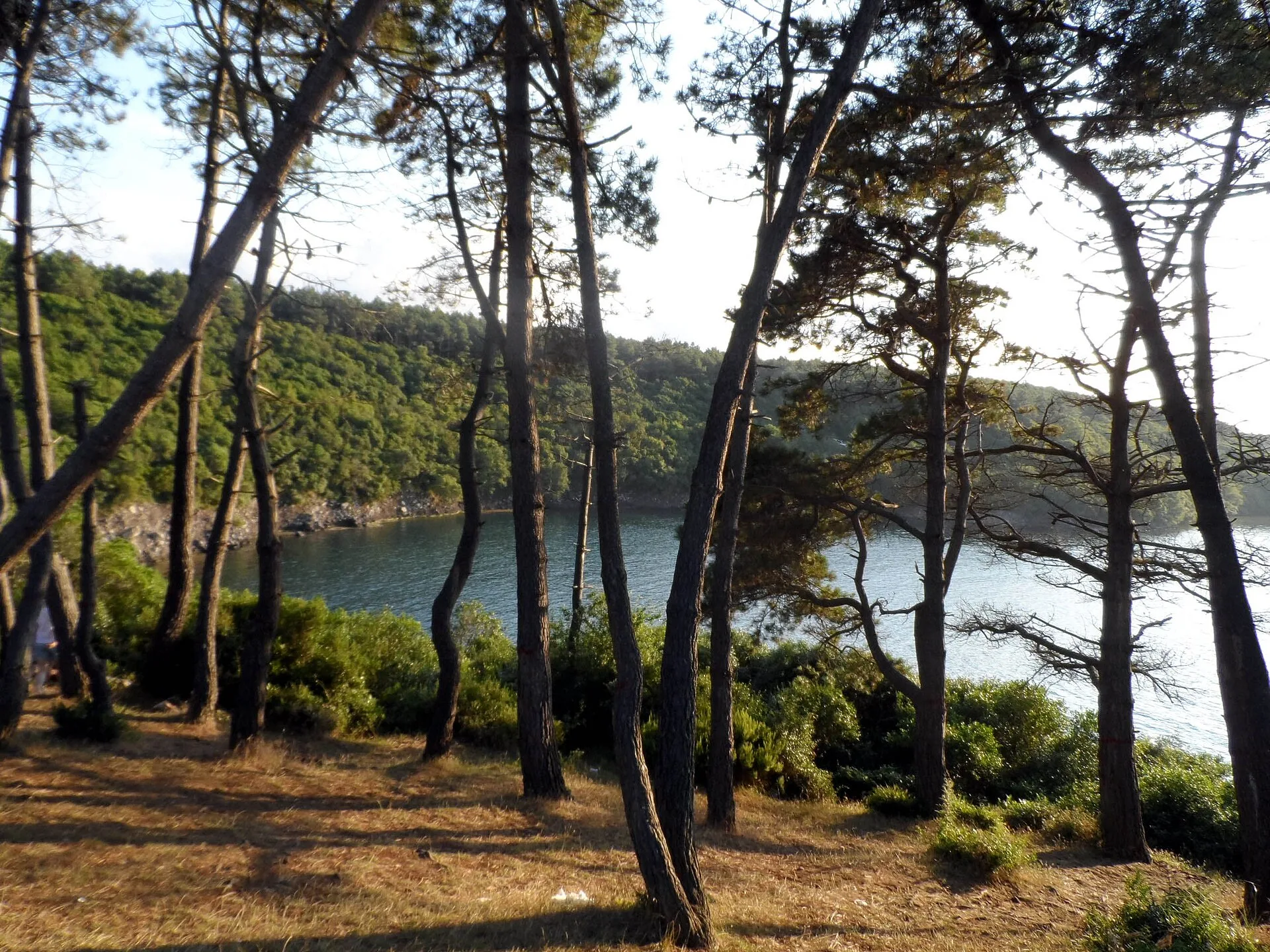 Hamsilos Koyu (Fiyordu)