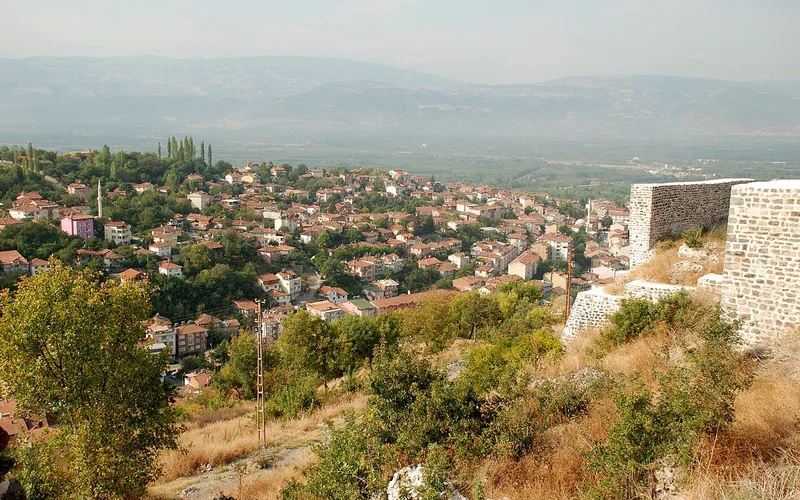 Niksar Kalesi