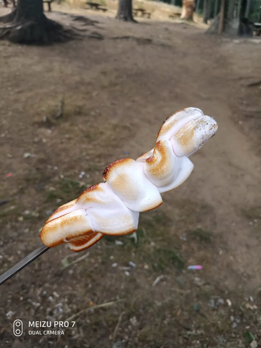 Uludağ Millî Parkı